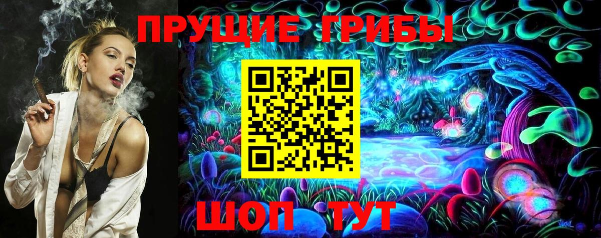 Галлюциногенные грибы Cubensis Строитель
